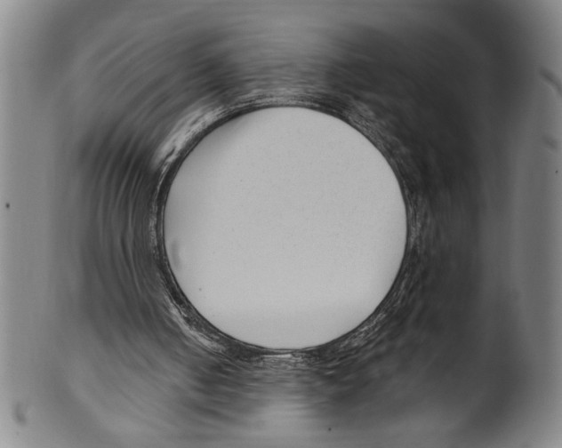 X0000099480050200806061255