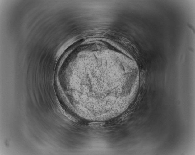 X0000099480051200806061255