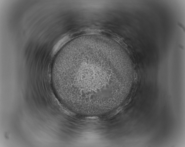 X0000099480053200806061255