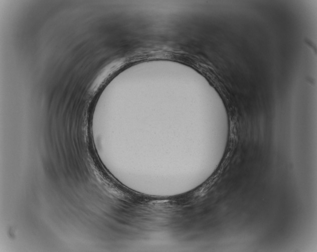 X0000099480054200806061255