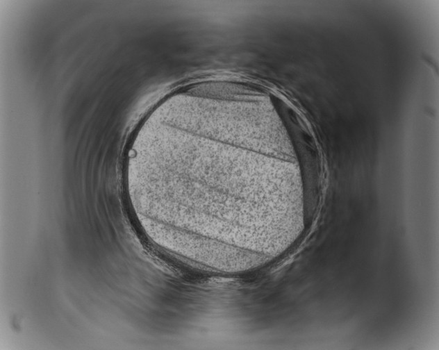 X0000099480055200806061255