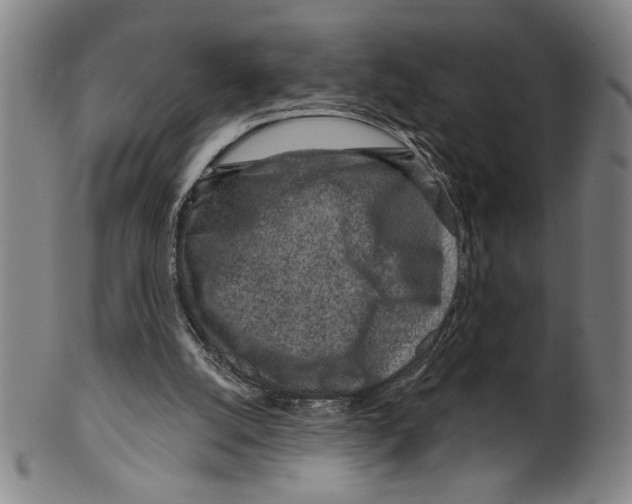 X0000099480056200806061255