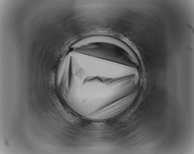 X0000099480057200806061255