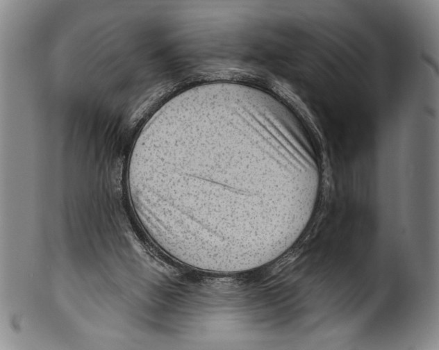 X0000099480058200806061255