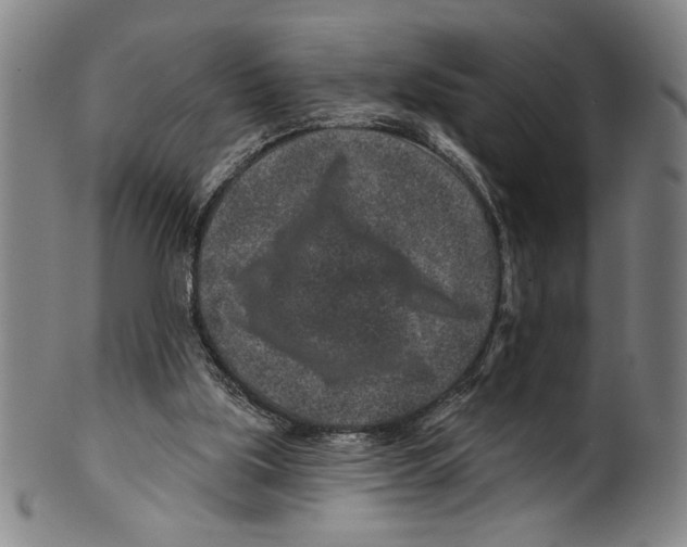 X0000099480059200806061255