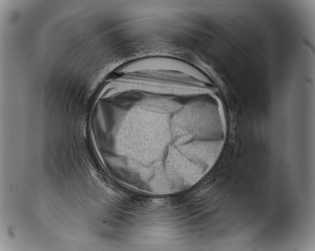 X0000099480060200806061255