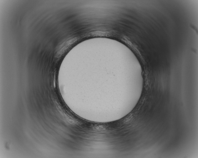 X0000099480062200806061255