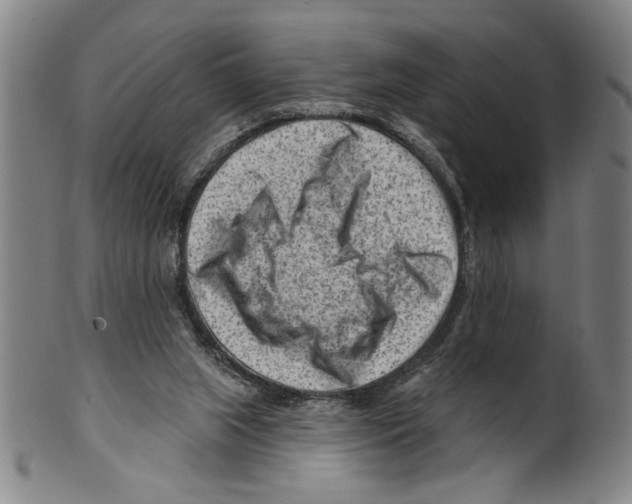X0000099480063200806061255