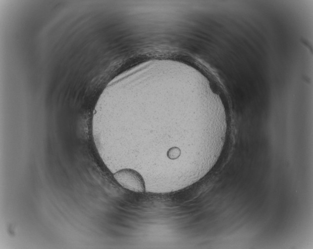 X0000099480065200806061255
