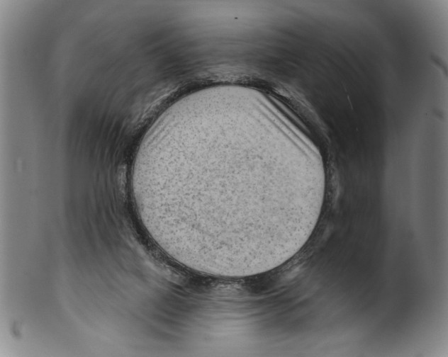 X0000099480066200806061255