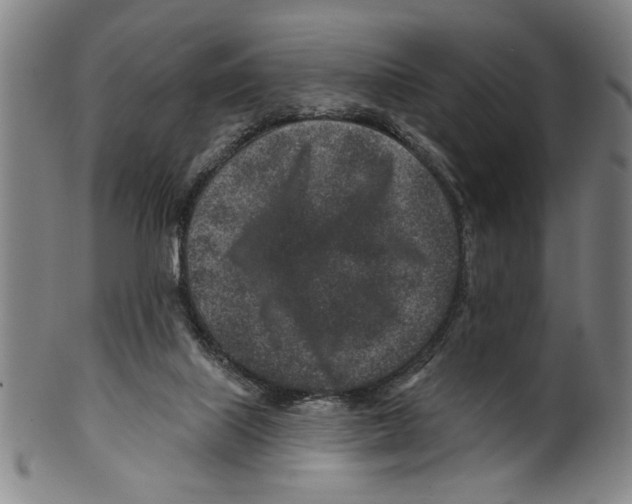X0000099480067200806061255
