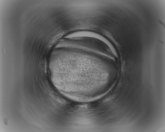 X0000099480068200806061255