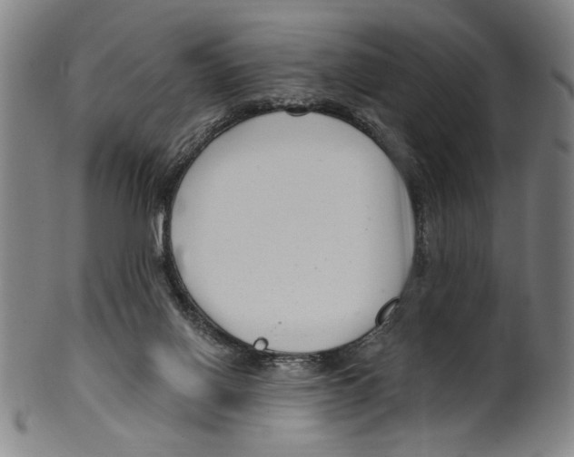X0000099480070200806061255