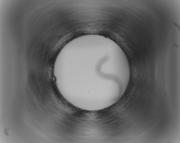 X0000099480071200806061255