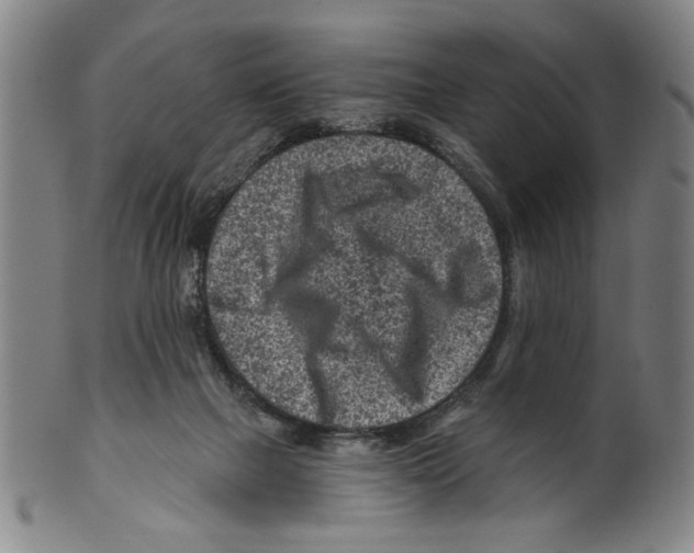 X0000099480073200806061255