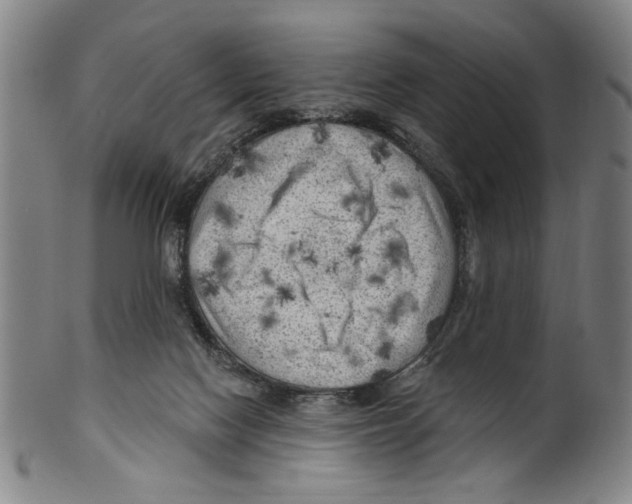 X0000099480074200806061255