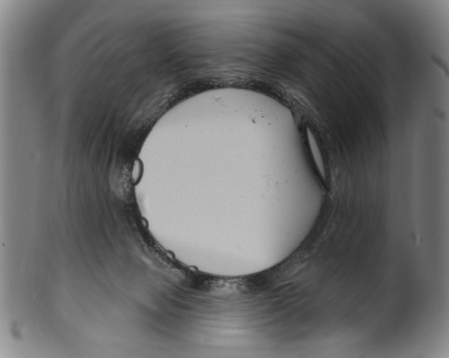 X0000099480077200806061255