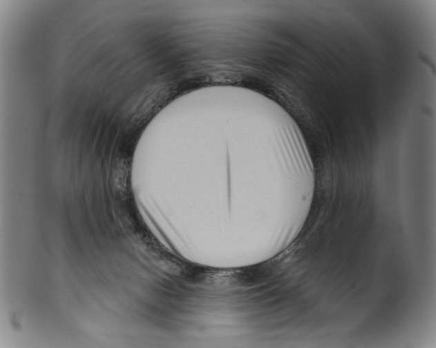 X0000099480078200806061255
