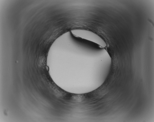X0000099480079200806061255