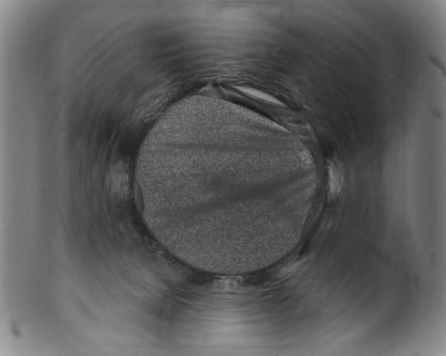X0000099480080200806061255