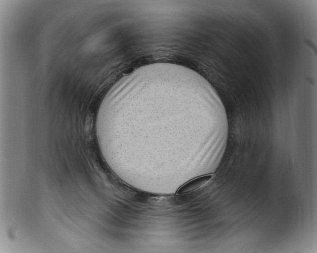 X0000099480082200806061255
