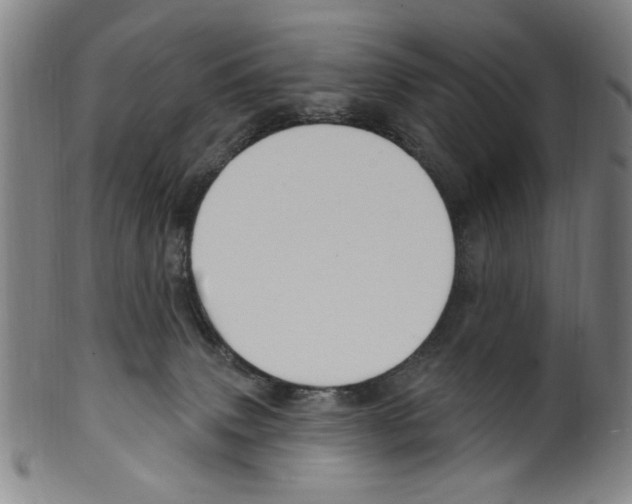X0000099480083200806061255