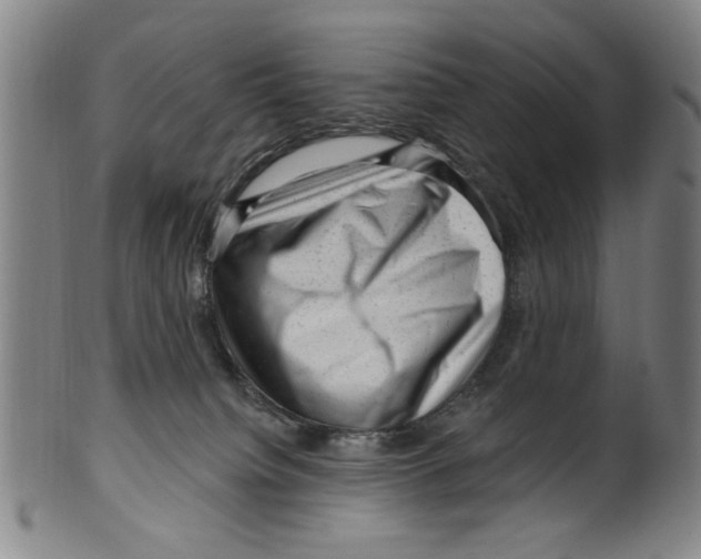 X0000099480084200806061255