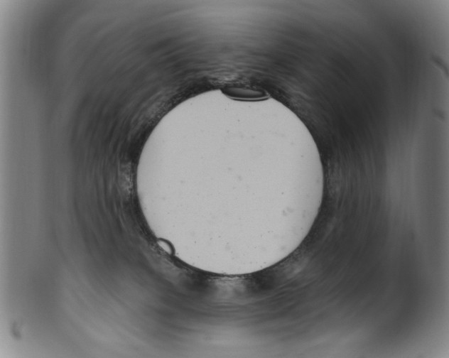 X0000099480085200806061255