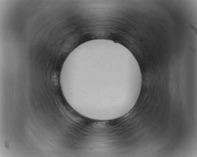 X0000099480086200806061255