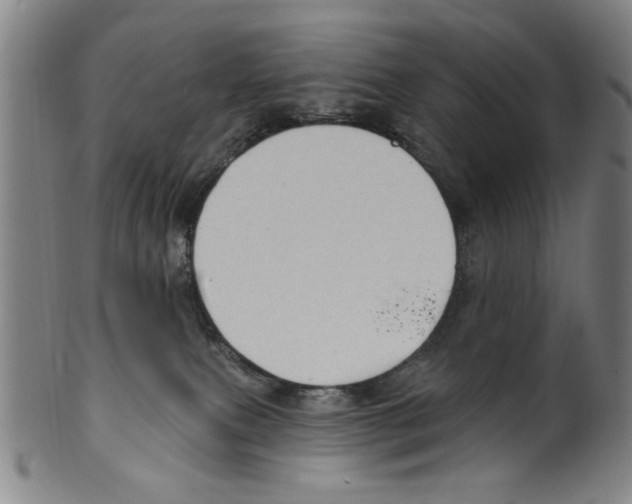 X0000099480087200806061255