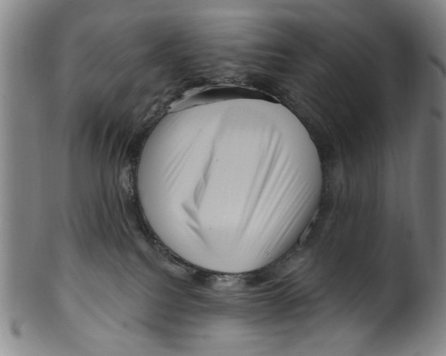 X0000099480088200806061255