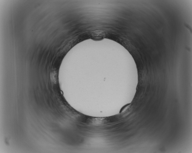 X0000099480090200806061256