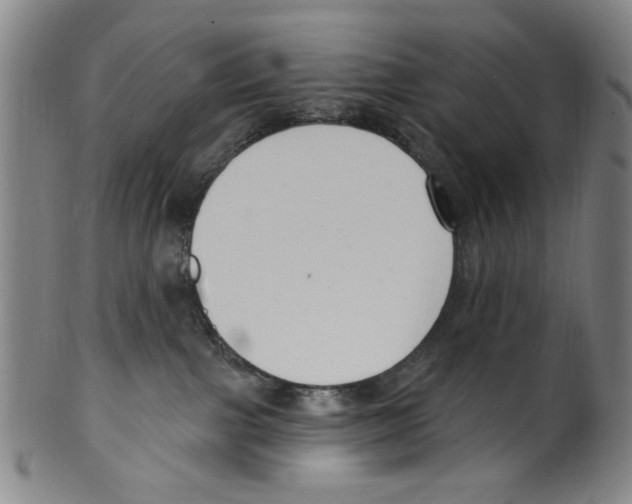 X0000099480091200806061256