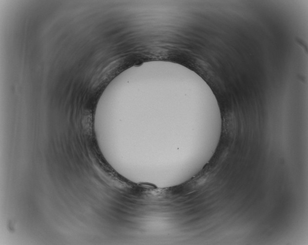 X0000099480092200806061256