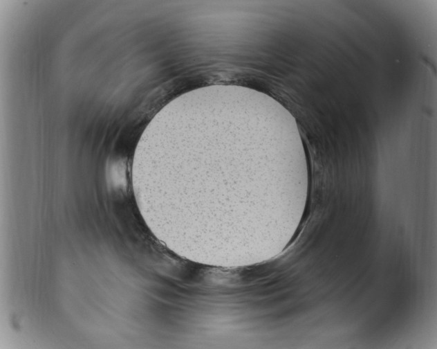 X0000099480094200806061256