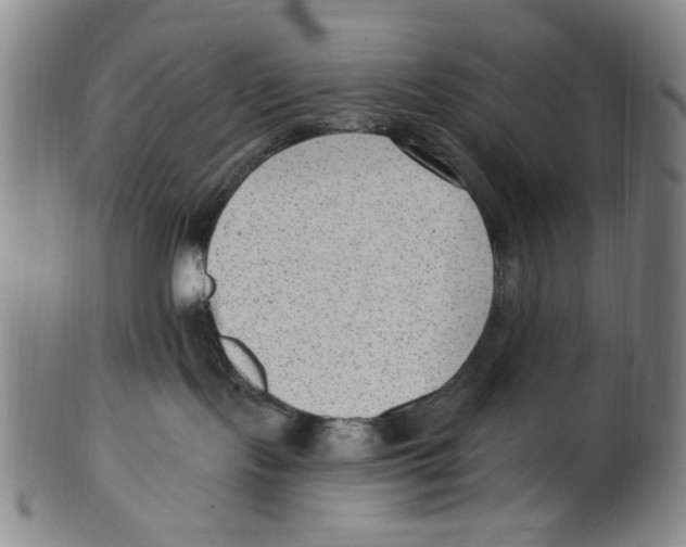X0000099480095200806061256