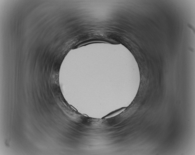 X0000099480096200806061256