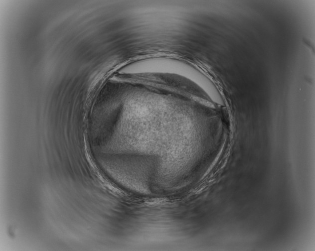 X0000099480097200806061255