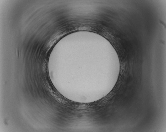 X0000099480098200806061255