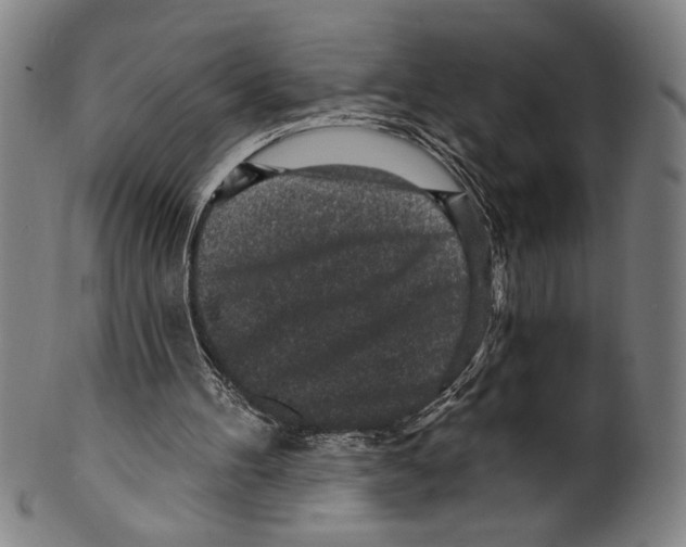 X0000099480100200806061255