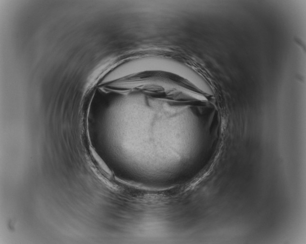 X0000099480101200806061255