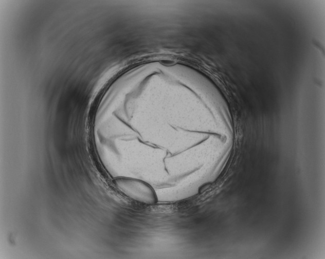 X0000099480102200806061255