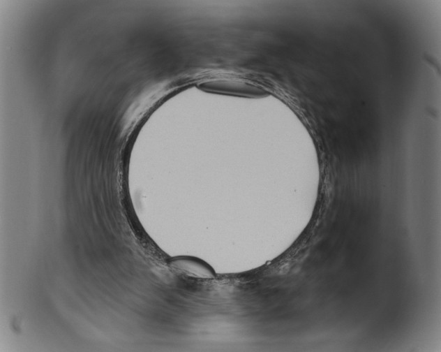 X0000099480103200806061255