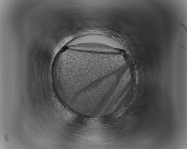 X0000099480104200806061255