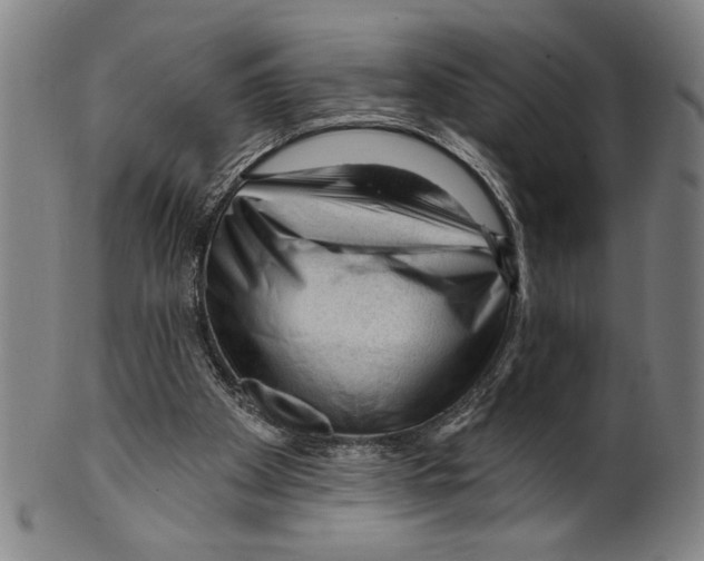 X0000099480105200806061255