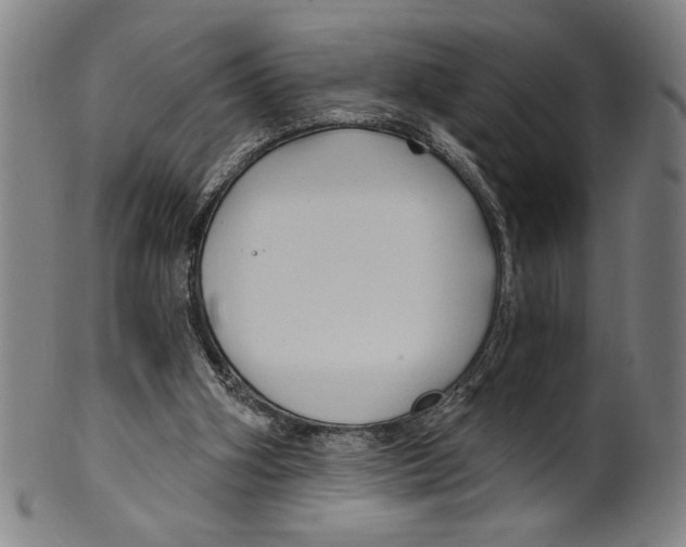 X0000099480106200806061255