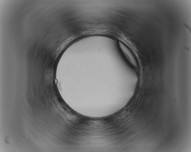 X0000099480107200806061255