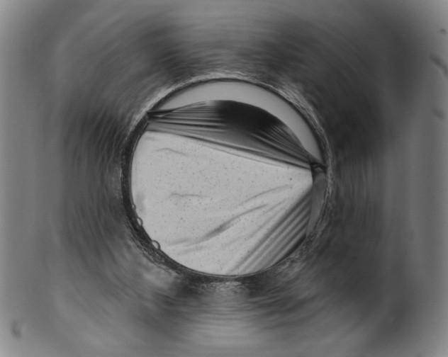 X0000099480108200806061255