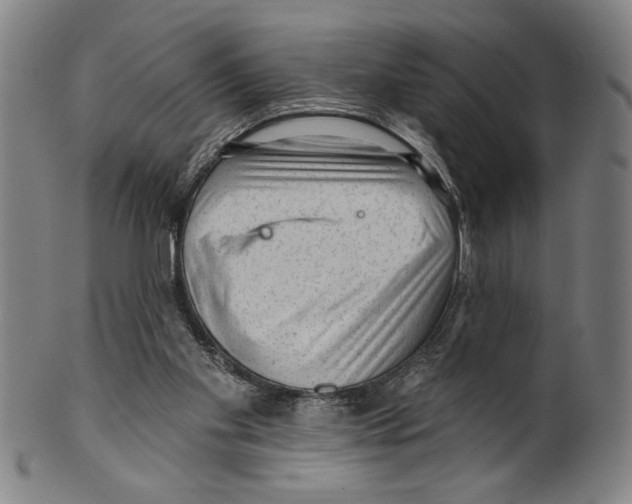 X0000099480109200806061255