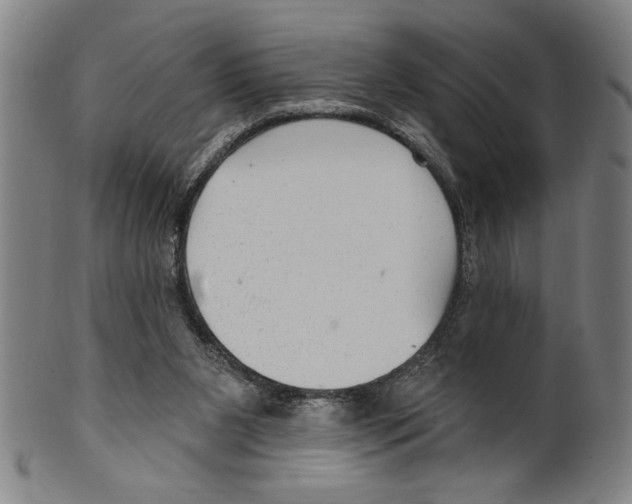 X0000099480111200806061255